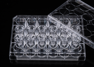 Pet Memberane Cell Culture Inserts สำหรับแผ่น 24 หลุม