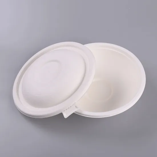 Customized Eco-friendly Pulp Molded Paper Bowl Bagasse Bowl