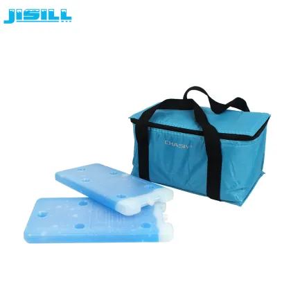 Reusable Sub-zero Ice Brick