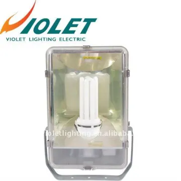 Plastic Flood Lamp 1x65W