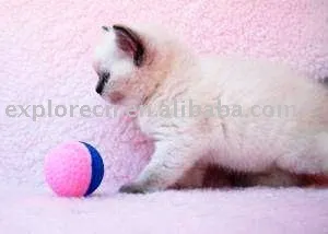 Rubber doggy play ball