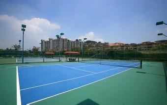 Professional Supplier of Synthetic Grass for Tennis Court From Forestgrass