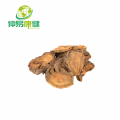 Rheum palmatum root pó 10: 1 extrato de ruibarbo chinês