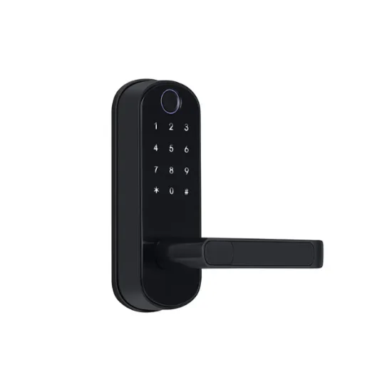 Keypad and Fingerprint Biometric Digital Door Lock with Handle