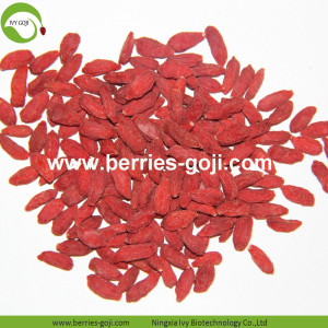 Factory Wholesale Bulk Fruit Product Wolfberries