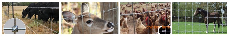 galvanized deer fence