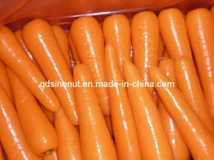 2014 Harvest Fresh Carrot