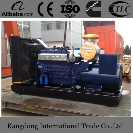 Best quality 100kw natural gas generator with competitive price