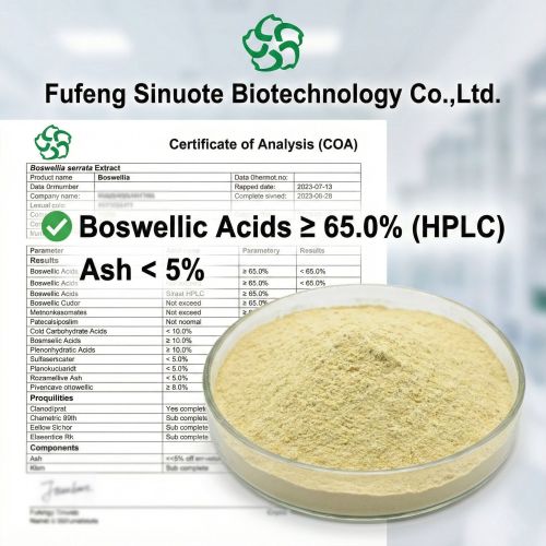 Natural Boswellia Serrata Extract Capsules for Inflammation Relief