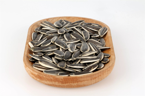 Ny produktion av Sunflower Seeds 361 för export