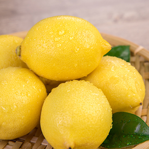 Wholesale limão natural puro fresco à venda