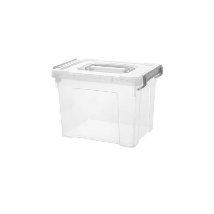 Transparent and thickened storage box