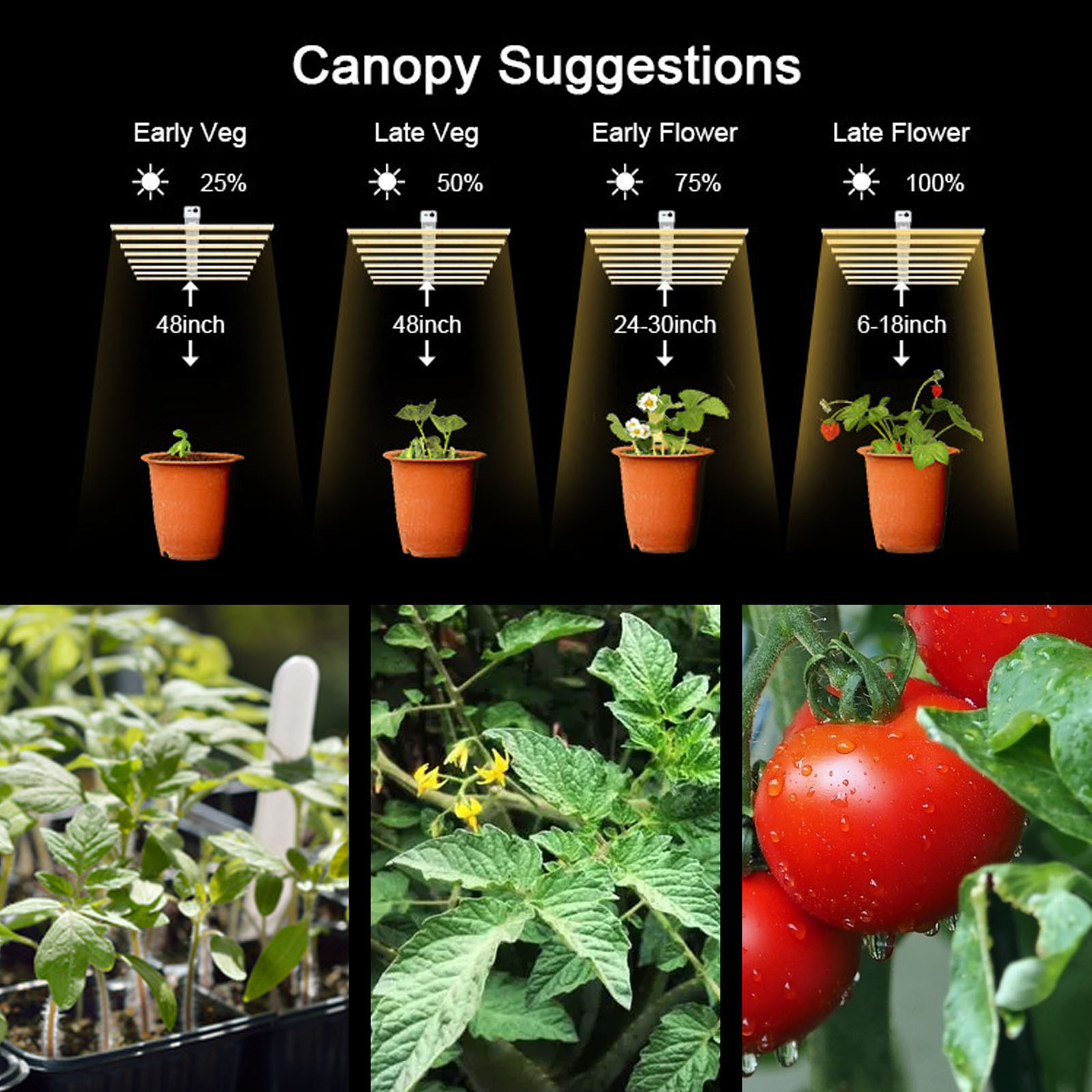 full spectrum led grow light