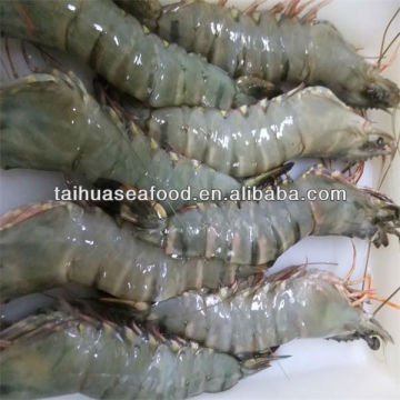 shrimp and prawn sea food products