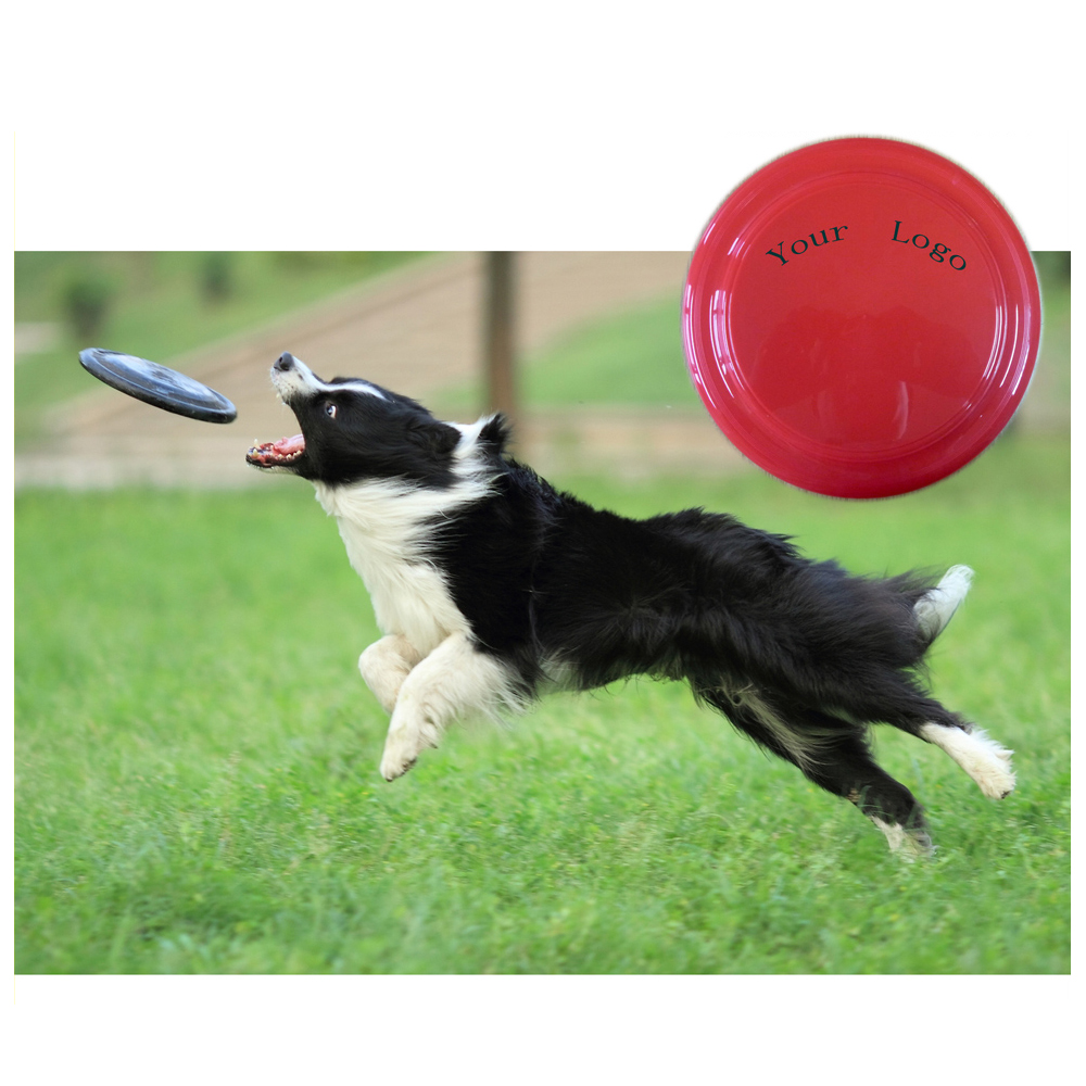 Perro Frisbee Flying Disc Training Fetch Juguete para mascotas