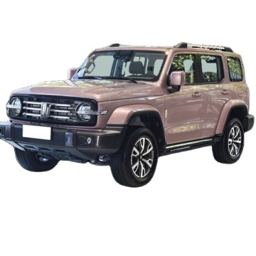 2023 Changcheng Tank 300 5 Seats AWD 2.0T 227hp Gasoline SUV - Hot Sale