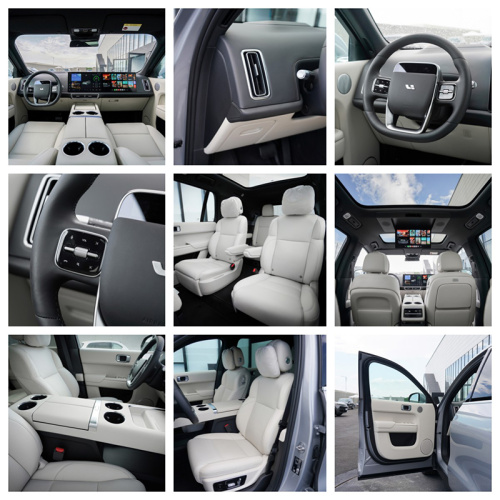 Large SUV LEADING IDEAL L9