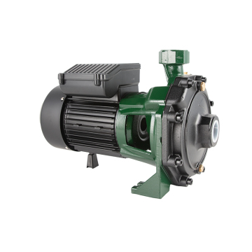 CE Certified 2HP Centrifugal Pump for Garden Water Systems