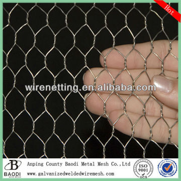 iron wire galvanized chicken hexagonal wire nettings