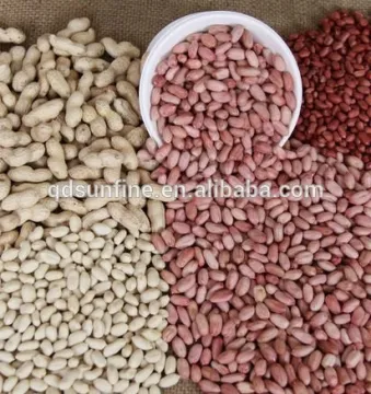Chinese peanut kernels blanched peanuts roasted peanut inshell