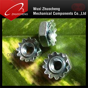 DIN557 K Nut, Stainless Steel K Nut, Carbon Steel Zinc Plated K Nut
