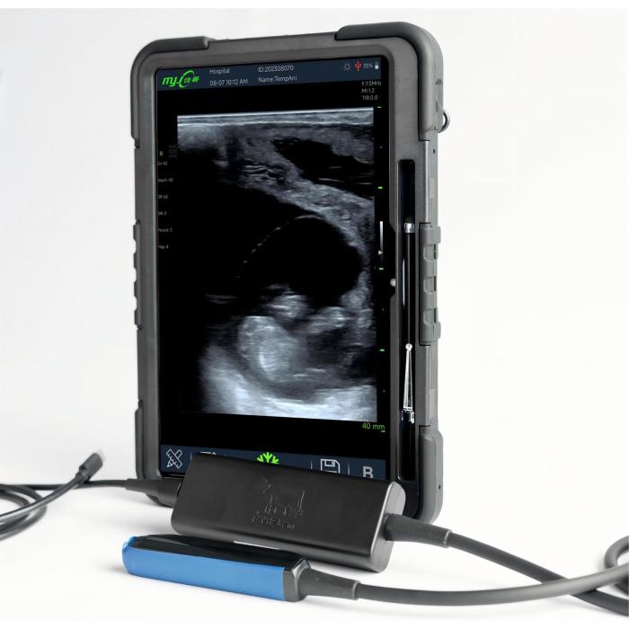 Fast Scan L ultrasound cows for pregnancy