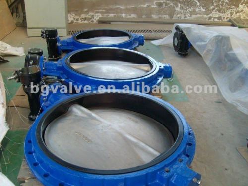 Soft sealing butterfly valve with worm