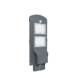 LEDER Induction Integrated Street Light Floor Lights