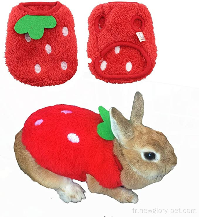 Costume de compagnie vêtements de lapin mignons