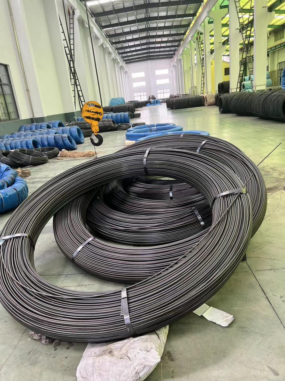 Spring Steel Wire9