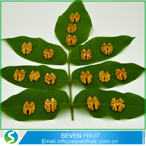 Nut Jenis snek LH semula jadi 1/2 - Butterfly - split havles Cina cahaya walnut biji harga