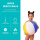 OEM Rainbow Beach Balls Inflatable Rainbow Beach Ball