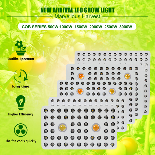 COB LEDは温室用プリゾン用のライトを育てる