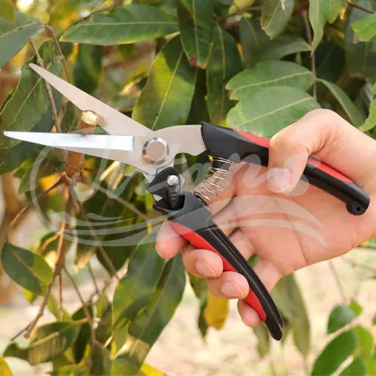 High Quality Garden Pruners and Shears: Essential Supplies for Gardening Enthusiasts