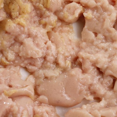 Kotek Cat Cream Cream Kre z krewetkami