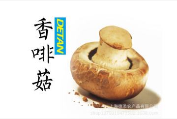 Fresh crimini mushroom/ swiss brown rushroom