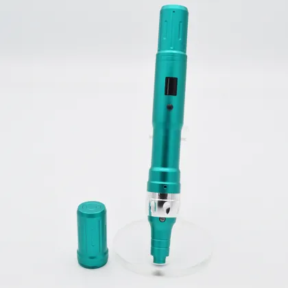 LCD Display 6 Levels Rechargeable Dr Pen