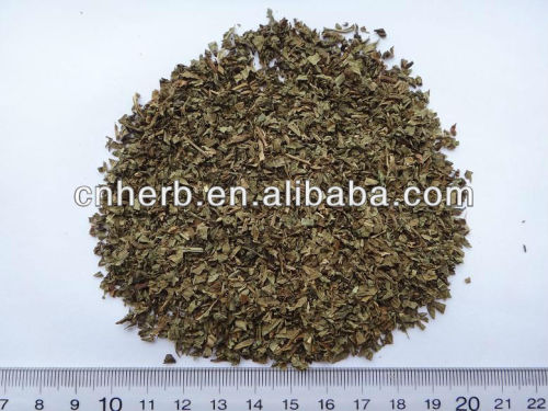 green color goji leaf tea bag cut free of pesticide