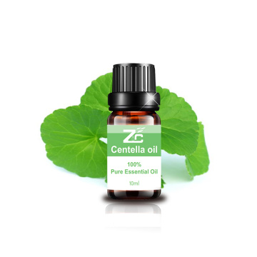 High Quality Centella Essential Oil Pure Oil for Aroma