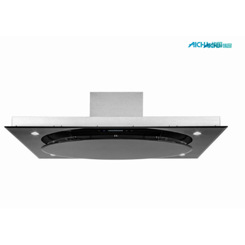 Built-in Ceiling Extractor Hood in France