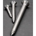 SS304 DIN7991 CSK head SCREW