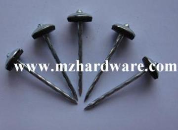 Galvanzied Roofing nail
