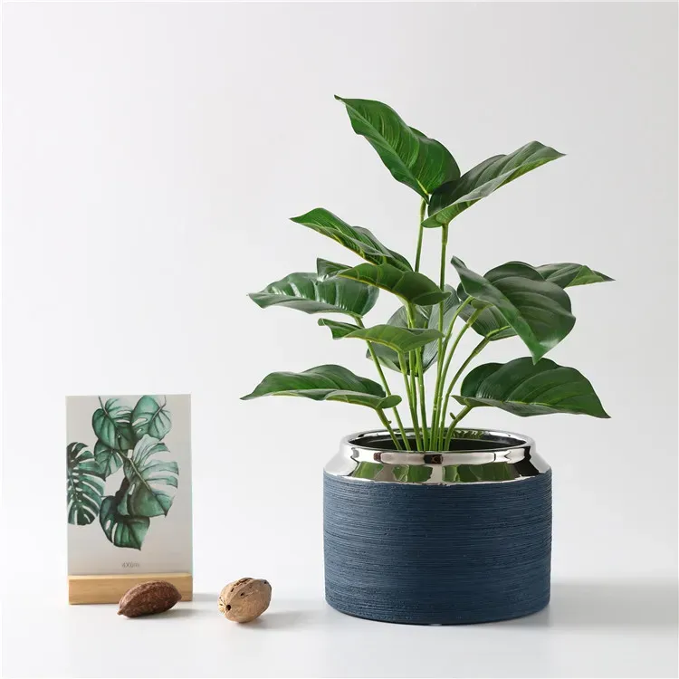 Blue Ceramic Planter Pot for Indoor Garden Decor