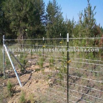 Farm Fence