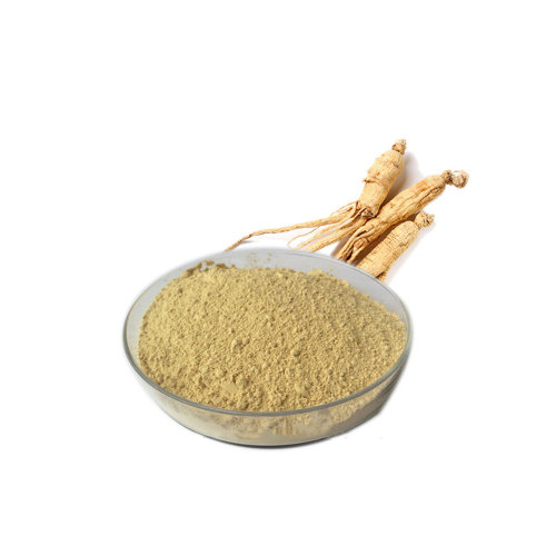 Certified organic siberian ginseng extract powder