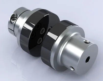 Permanent magnetic pump coupling