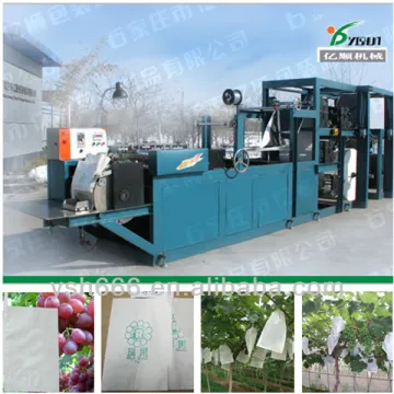 Table grape protective bags making machine factory