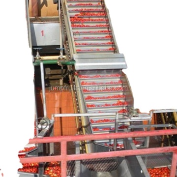 Tropical Fruits Jam Production Line