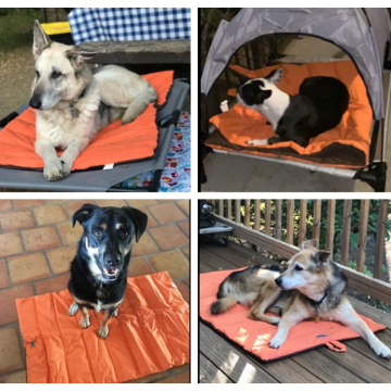 Draagbaar en Camping Travel Pet Bed