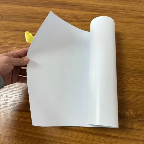 Biodegradable PLA Sheet Food Grade